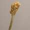 Rabbit Tail Grass Bundle, Natural 18365;