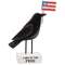 Land of the Free Crow Sitter