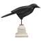 Wooden Crow Pedestal, Small