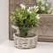 Small Gray Willow Basket & Vase;