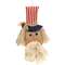 Uncle Sam Head