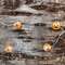 Jack O Lantern Lights, 15 Count G97419;