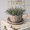 Willow Cup and Saucer BB6A200;