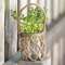 Glass Jar with Rope Netting BB6A852;