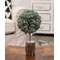 Frosted Balsam Fir Topiary, 12" 18415;
