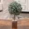 Frosted Balsam Fir Topiary, 10" 18417;