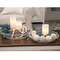 Distressed White Chicken Wire Round Trays, 2/Set 18025ABW;