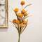 Fall Grass & Billy Ball Spray, Mustard 18435;