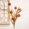 Fall Grass & Billy Ball Spray, Burnt Orange 18436;