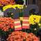 Witch Boot Planter Stakes, 2/Set 38014;