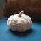 Ivory Sherpa Pumpkin w/Jute Stem, Small CS38995