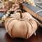 Stuffed Brown Pumpkin w/Seams, 6.5" CS39009;