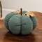 Teal Waffle Weave Pumpkin, Medium CS39114;