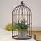 Wire Bird Cage with Jute and Cement Plant Holder, Large QX18209A