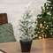Snowy Juniper Tree in Pot, 19" SR2319201;