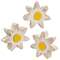 3 Set - Distressed Chunky Wooden White Daisy Sitters