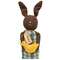 Tracy Chocolate Bunny Doll with Chick