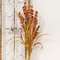Fall Wildflower, Heather, & Dried Grass Spray, 25" SR2317235;