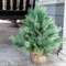 River Valley Mixed Pine Tree w/Burlap Base, 28" SR2320366;