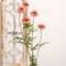Mauve Marigold Spray, 29.75" SR2320463M;