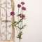 Plum Marigold Spray, 29.75" SR2320463P;