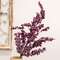 Canella Berries Spray, 25", Plum SR2320654P;