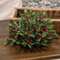 Merry Little Holly & Berries Half Sphere, 10" SR2321417;