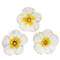 Wooden Gardenia Bloom Sitter - 3 Asstd.