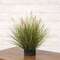 Onion Grass & Bunny Tail Pot Filler 18442;