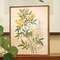 Yellow Anemone & Fern Botanical Box Sign 38258;