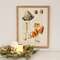 Vintage Scientific Mushroom Trio Framed Print 65381;