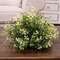 Cream Tipped Baby's Grass Half Sphere, 9" x 7" ;