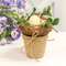 Nestled Egg in Pot SA112509;