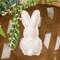 Eyelet Bunny Fabric Ornament SHNE4010;
