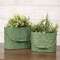 Dragonfly Embossed Distressed Green Metal Oval Buckets - 2/Set 70185;