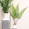 Wispy Fern Bundle, 21" JH102502;