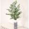 Maidenhair Fern Bush, 27" JH102504;