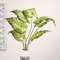 Perilla Leaf Bush, 24" QE15251;