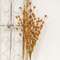 Fall Blossoms Spray, Rust, 24" SR2320665RU;