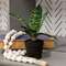 Potted Dark Green Snake Plant T182502;