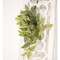 Pink Fittonia Leaves Hanging Bush, 21" T182508;