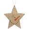 Hanging Snowman Star;