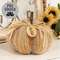 Stuffed Harvest Colors Blessed Sweater Pumpkin, 5"H CW4079;