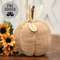 Beige Thankful Sweater Pumpkin, 5.5" Dia. JL24078;
