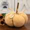 Light Orange Blessed Sweater Pumpkin, 7.5" Dia. JL24079;
