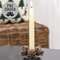 Champagne Frosted Pinecones Candle Ring, 1" SE022501;