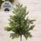Weeping Cedar Spray, 24" SW032501;