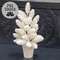 Potted Snowy Fantasy Pine Tree, 19" SA112551;