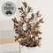 Gleaming Bronze Fittonia Spray, 27" SA112574;