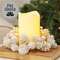 Yuletide Frosted Pinecones Candle Ring, 3" SE022504;